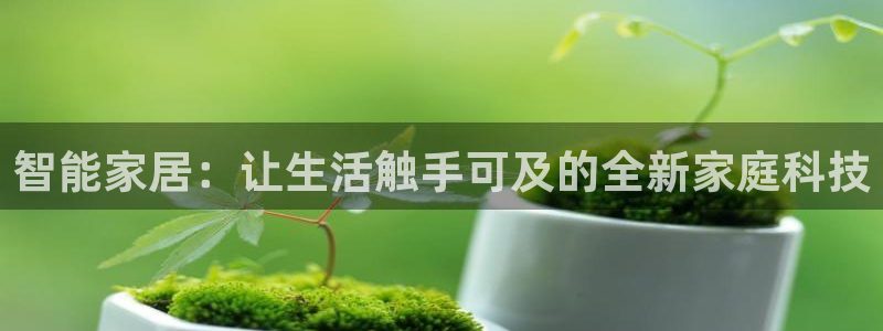 金年会综合APP：智能家居：让生活触手可及的全新家庭科技