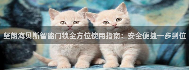 金年会com：坚朗海贝斯智能门锁全方位使用指南：安全便捷一步