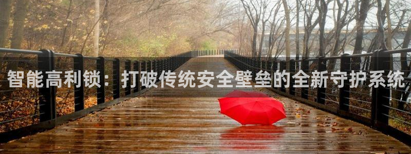 金年会官方入口：智能高利锁：打破传统安全壁垒的全新守护系统
