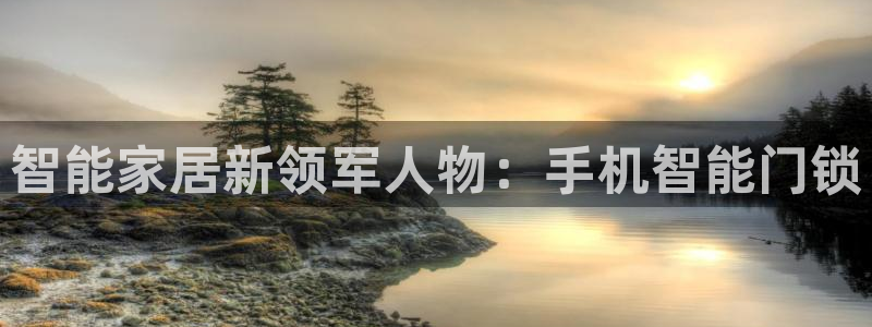 金年会官方体育登录入口：智能家居新领军人物：手机智能门锁