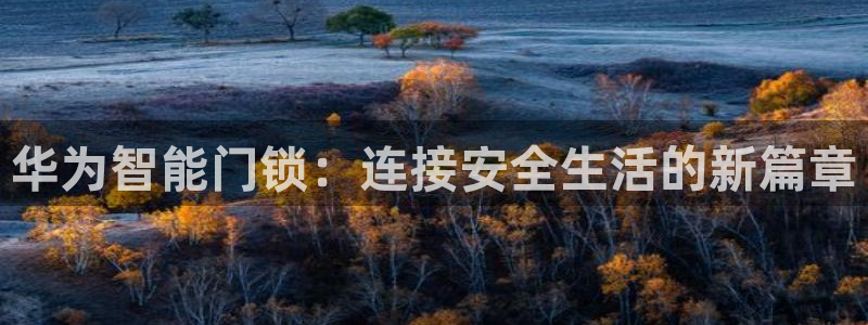 金年会登陆：华为智能门锁：连接安全生活的新篇章