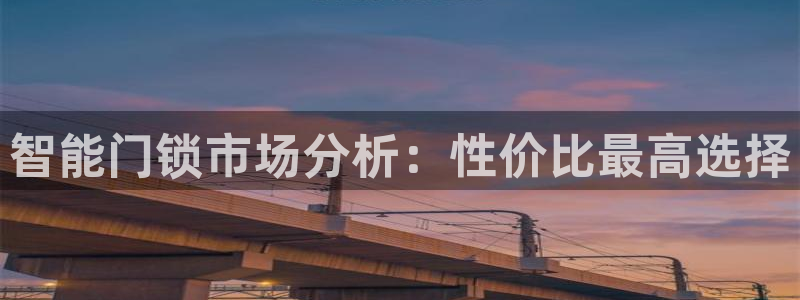金年会官网入口：智能门锁市场分析：性价比最高选择
