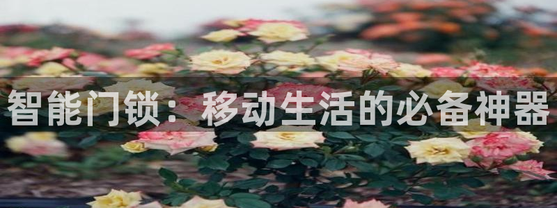 金年会官方入口：智能门锁：移动生活的必备神器