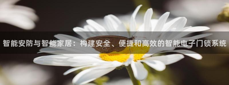 体育金年会：智能安防与智能家居：构建安全、便捷和高效的智能电