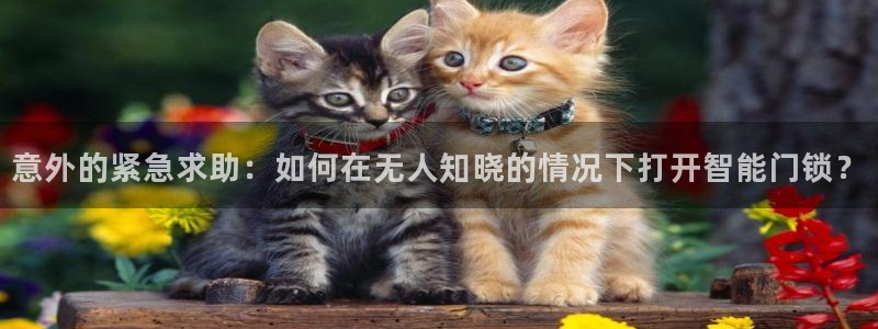 金年会app下载中国金年会：意外的紧急求助：如何在无人知晓的