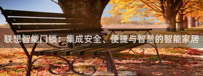 金年会在线：联想智能门锁：集成安全、便捷与智慧的智能家居