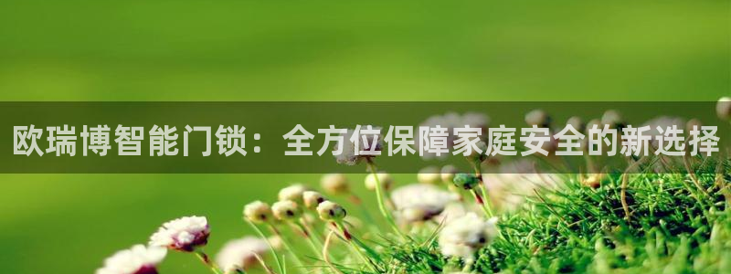 金年会体育下载：欧瑞博智能门锁：全方位保障家庭安全的新选择