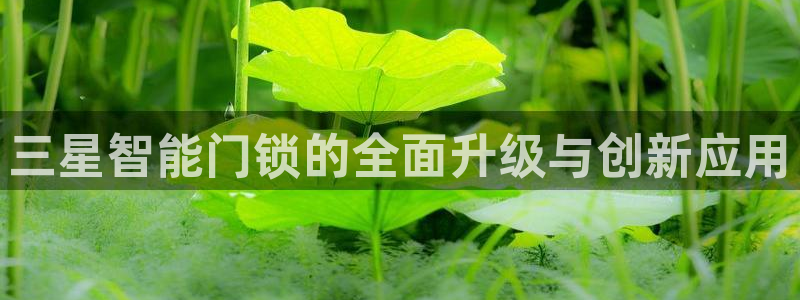 金年会网官网新版：三星智能门锁的全面升级与创新应用