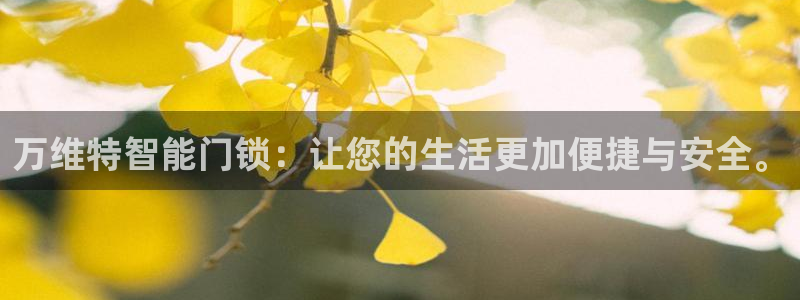 金年会首页登录：万维特智能门锁：让您的生活更加便捷与安全。