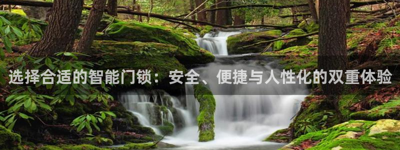 金年会金字招牌诚信：选择合适的智能门锁：安全、便捷与人性化的