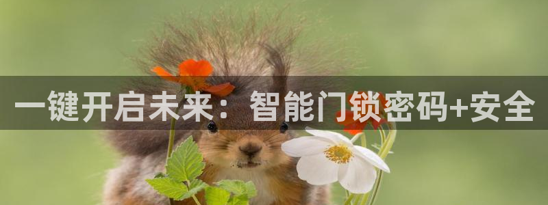 金哥年会：一键开启未来：智能门锁密码+安全
