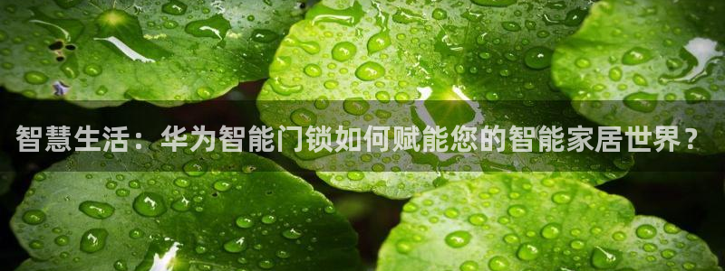 金年会 平台：智慧生活：华为智能门锁如何赋能您的智能家居世界