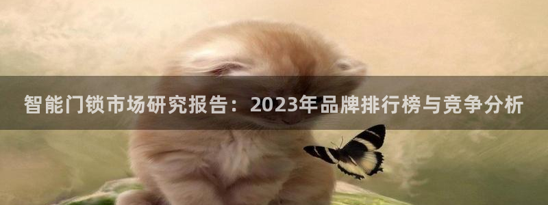 金年会嗨聊app下载：智能门锁市场研究报告：2023年品牌排