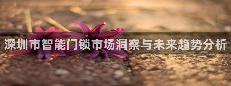 金年会娱乐官网：深圳市智能门锁市场洞察与未来趋势分析