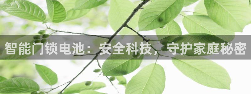 金年会官方体育登录入口：智能门锁电池：安全科技，守护家庭秘密