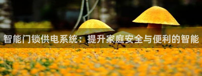 金年会在线下载：智能门锁供电系统：提升家庭安全与便利的智能