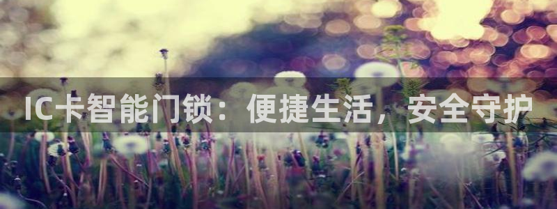 金年会金字招牌信誉：IC卡智能门锁：便捷生活，安全守护