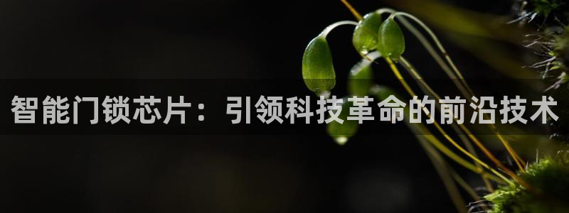 金年会在线下载：智能门锁芯片：引领科技革命的前沿技术