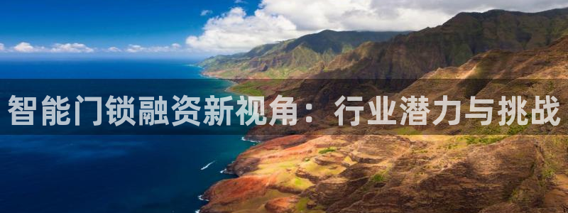 年会金句心得：智能门锁融资新视角：行业潜力与挑战