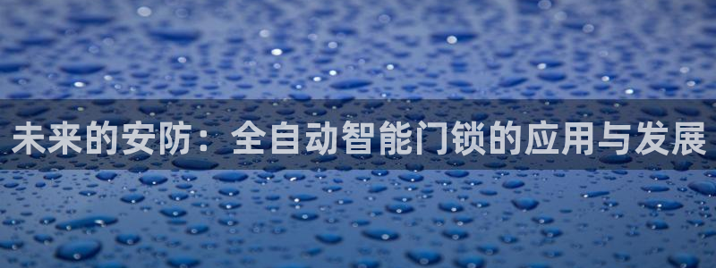 金年会 信誉至上：未来的安防：全自动智能门锁的应用与发展