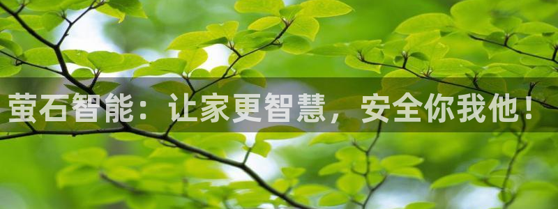 世界杯金年会app下载：萤石智能：让家更智慧，安全你我他！