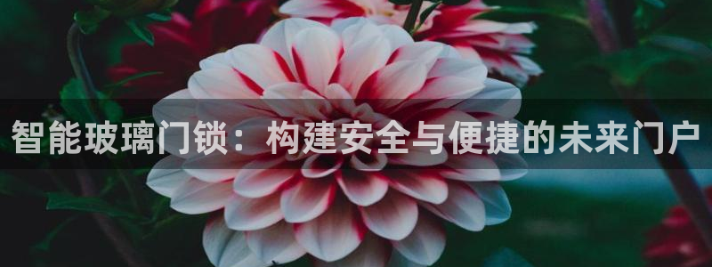 金年会101：智能玻璃门锁：构建安全与便捷的未来门户