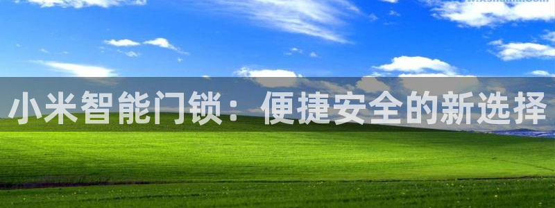金实年会：小米智能门锁：便捷安全的新选择