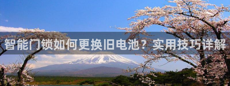2022年金科年会：智能门锁如何更换旧电池？实用技巧详解