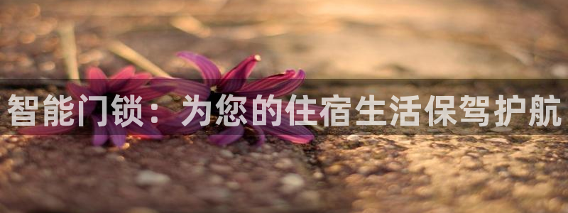 金进年会：智能门锁：为您的住宿生活保驾护航