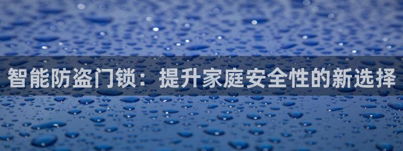 金汉江年会：智能防盗门锁：提升家庭安全性的新选择