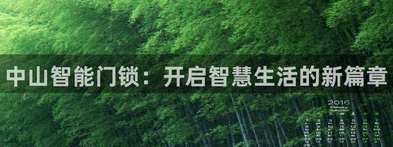 金年会在线入口：中山智能门锁：开启智慧生活的新篇章