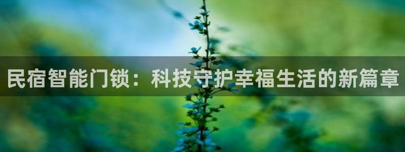 金年会6766：民宿智能门锁：科技守护幸福生活的新篇章