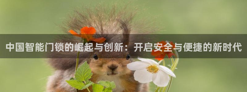 金顶年会：中国智能门锁的崛起与创新：开启安全与便捷的新时代