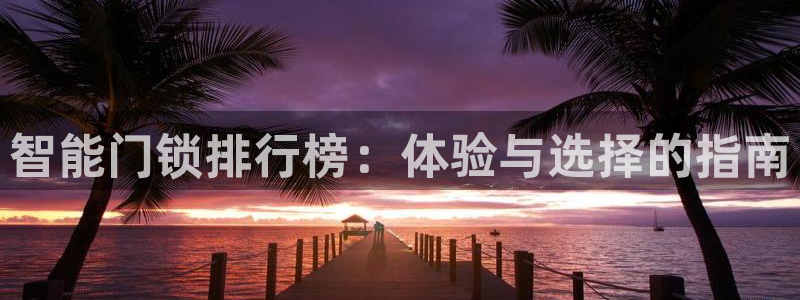 金辉城年会视频：智能门锁排行榜：体验与选择的指南