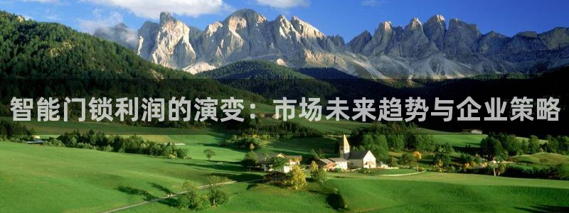 金年会吧：智能门锁利润的演变：市场未来趋势与企业策略