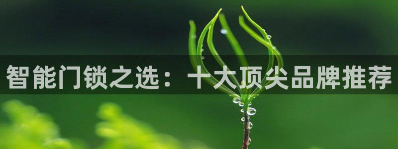 金年会在线：智能门锁之选：十大顶尖品牌推荐