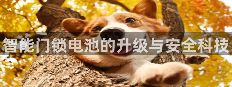 金哥年会：智能门锁电池的升级与安全科技