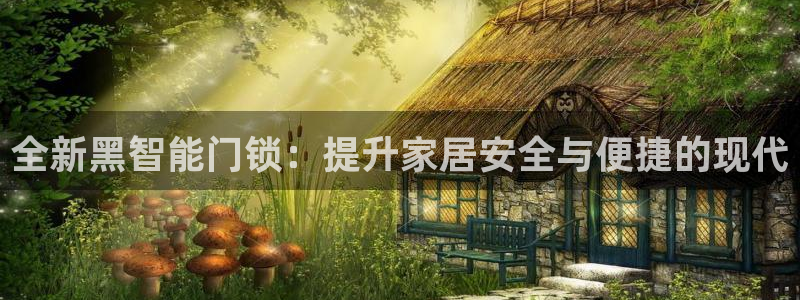 金年会金年华：全新黑智能门锁：提升家居安全与便捷的现代
