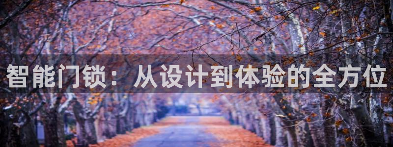 金哥年会：智能门锁：从设计到体验的全方位