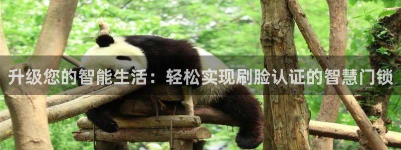 金年会和万博：升级您的智能生活：轻松实现刷脸认证的智慧门锁