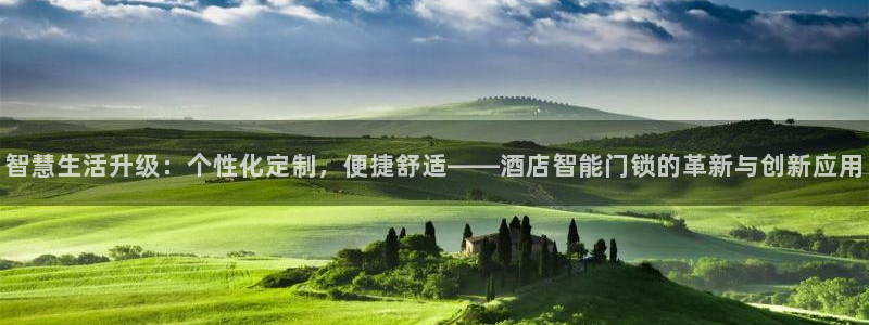 jinnian金年会：智慧生活升级：个性化定制，便捷舒适——