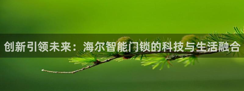 金年会体育平台在线登录：创新引领未来：海尔智能门锁的科技与生