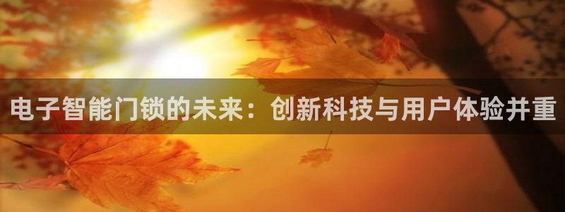 金年会官方网：电子智能门锁的未来：创新科技与用户体验并重