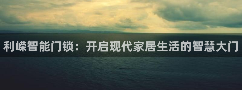 金年会体育下载：利嵘智能门锁：开启现代家居生活的智慧大门