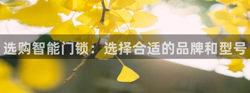 金年会体育和金年会：选购智能门锁：选择合适的品牌和型号