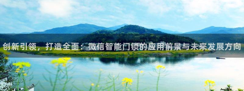 宝金年会：创新引领，打造全面：微信智能门锁的应用前景与未来发