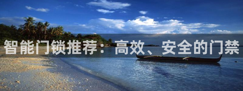 金年会体育和金年会：智能门锁推荐：高效、安全的门禁