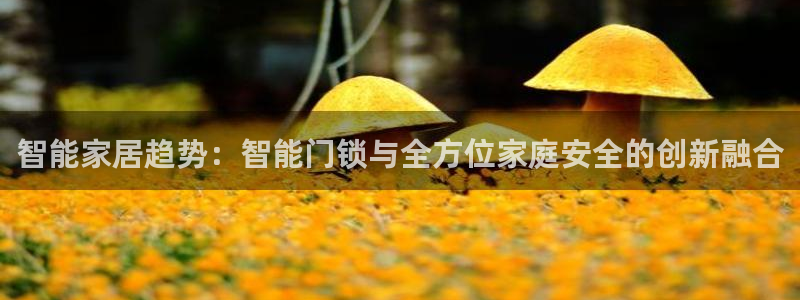 金年会网官网新版：智能家居趋势：智能门锁与全方位家庭安全的创