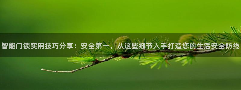 金齿科年会：智能门锁实用技巧分享：安全第一，从这些细节入手打