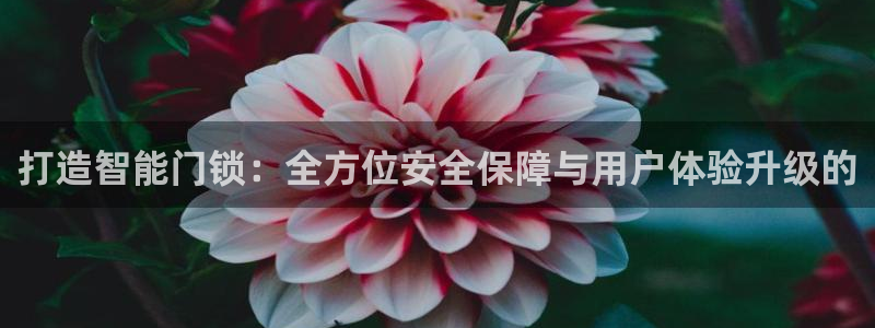 金年会平台是真的吗：打造智能门锁：全方位安全保障与用户体验升